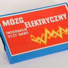 Mózg elektryczny